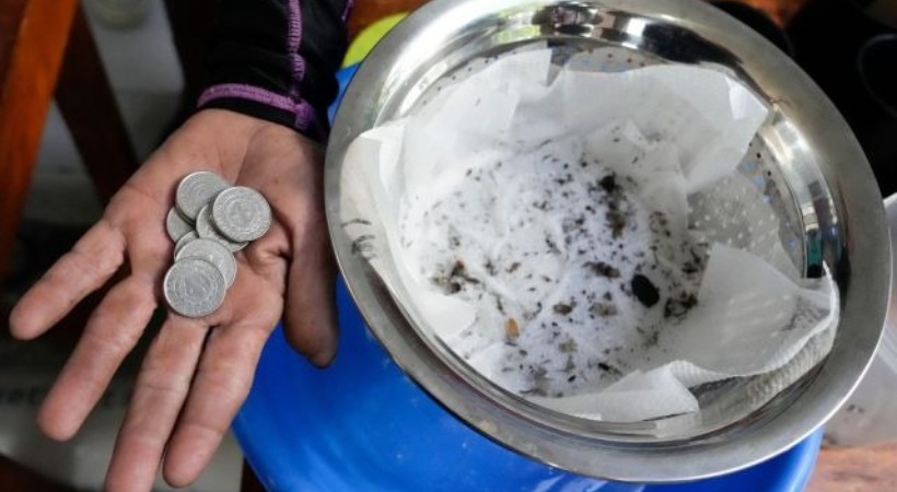 Residents Of This Asian City Are Earning Cash For Killing Mosquitoes