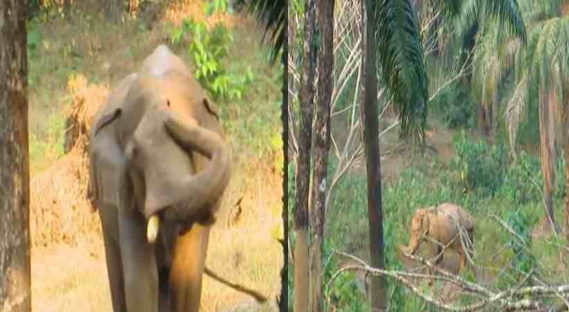 athirappilly