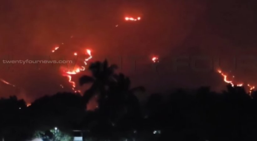 forest fire palakkad dhoni