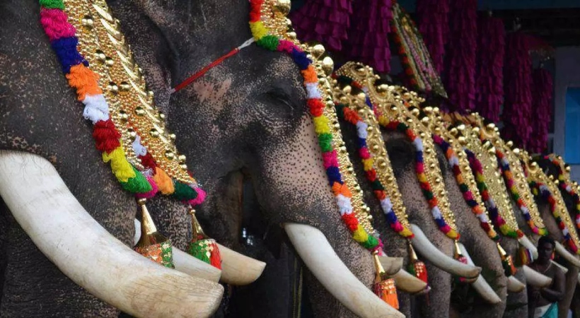 elephant procession