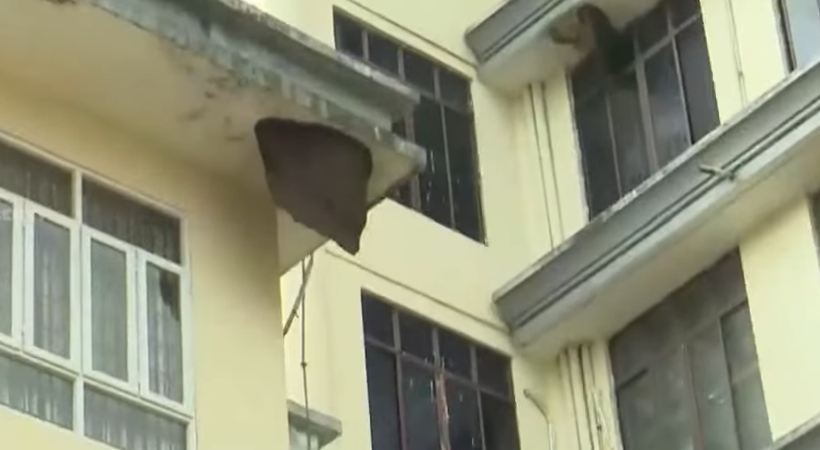 wasp attack in thiruvananthapuram collectorate