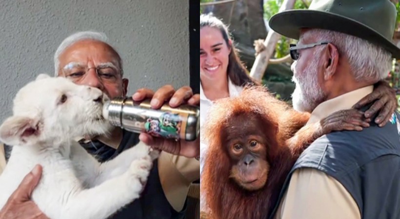 PM Modi interacted with lions and tigers, played with cubs at Jamnagar's Vantara