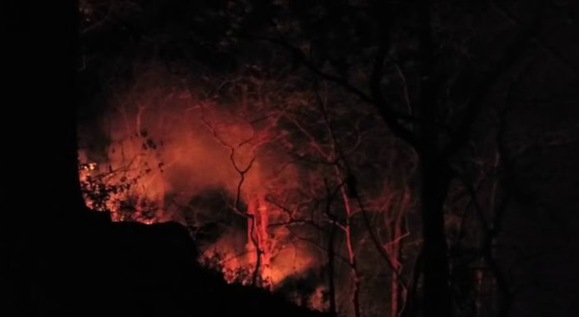 wildfire