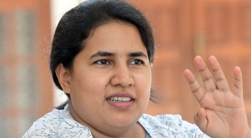 veena