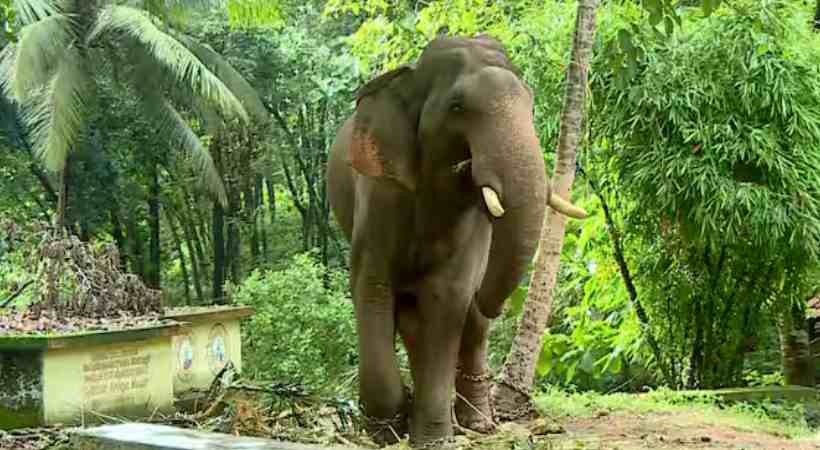 kunju