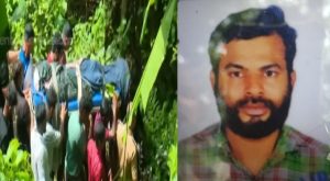 malappuram tiger