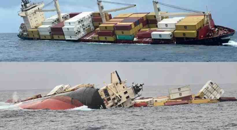 msc elsa 3