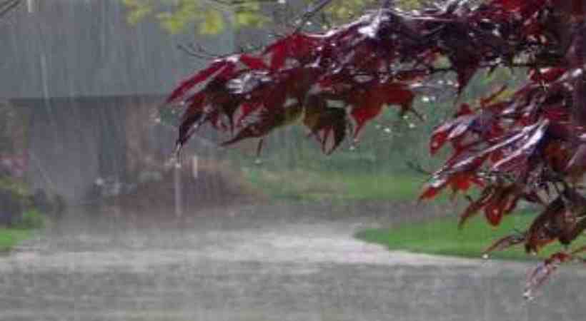 rainfall