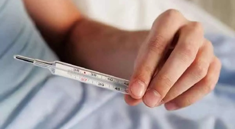 Dengue and rat fever on the rise in Ernakulam