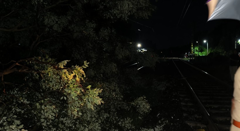 tree fell on the railway track between Chengannur and Mavelikkara