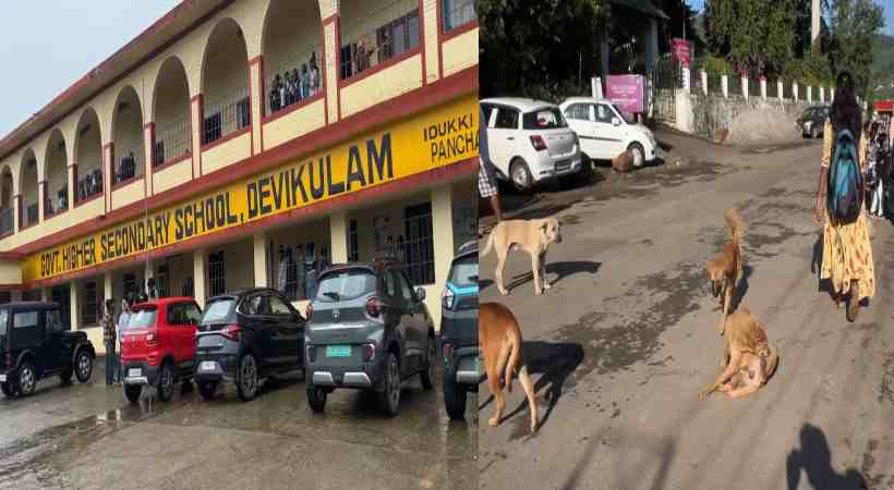 dog attack