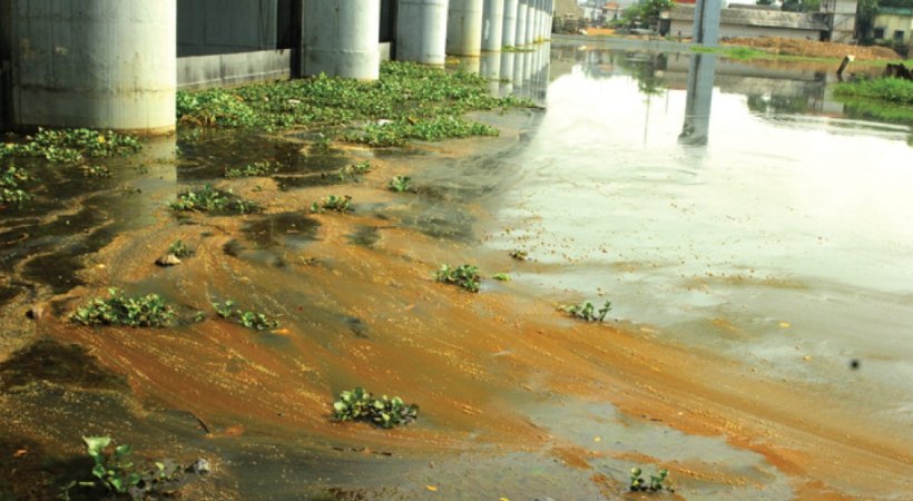 high court direct to take action in periyar river pollution