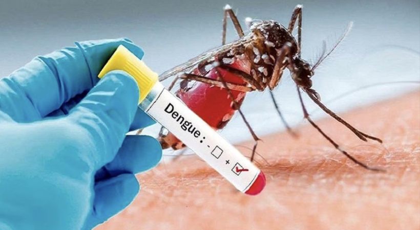 fever cases increasing in kerala