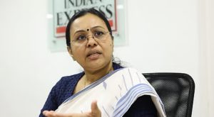 veena