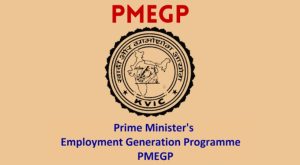 PMEGP portal in the state is only partially functional