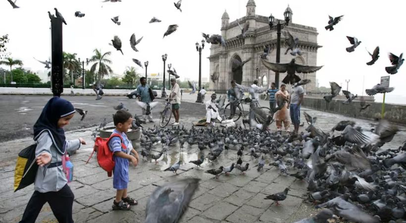 Mumbai bans pigeon feeding