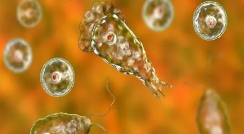 11-year-old girl in Malappuram has amoebic encephalitis
