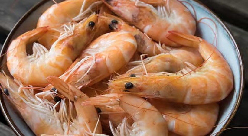 Shrimp Exporters Seek Government Aid As Trump Tariffs