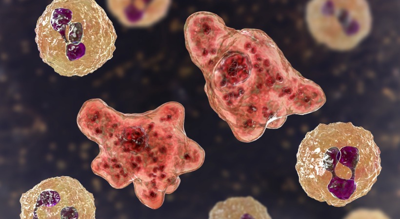 45 year old man died due to Amebic encephalitis