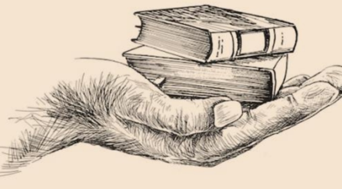 literacy day