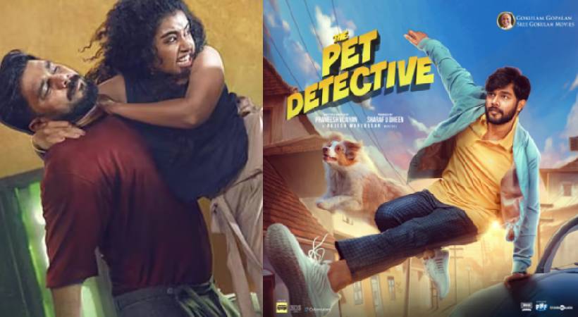 pet detective